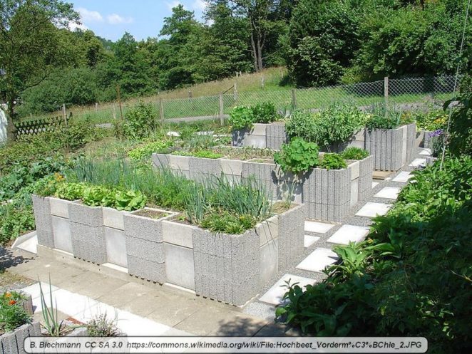 Putting In a Cinder Block Raised Bed for Gardening - Virily
