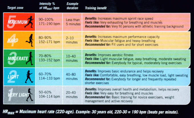 Workout Heart Rate Chart Age