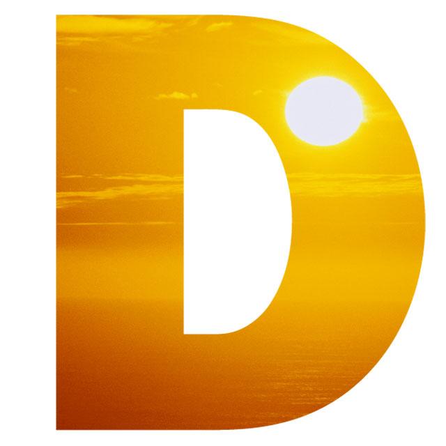 D D Dragon Size Chart