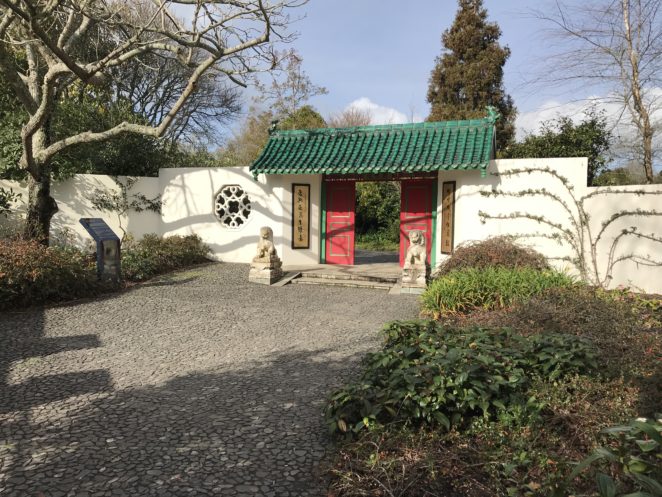 Hamilton Gardens Part 2 Chinese Scholar Gardens Virily